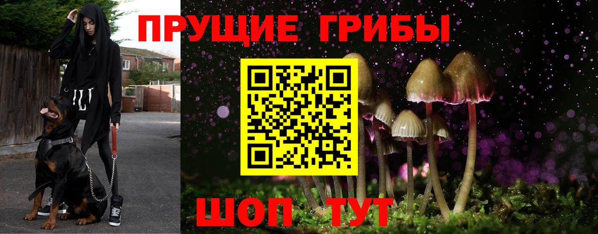 Псилоцибиновые грибы мухоморы Новочебоксарск